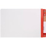 AVERY 42431 LATERAL FILE WITH RED TAB MYLAR FOOLSCAP WHITE BOX 100