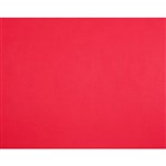 QUILL BOARD 210GSM 510 X 635MM RED