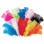 ZART FEATHERS 60G ASSORTED