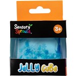 SENSORY SPROUTS JELLY CUBE