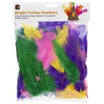 EDUCATIONAL COLOURS TURKEY FEATHERS 60G BRIGHT ASSORTED