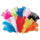 Feathers