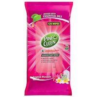 Sponges and Scourers